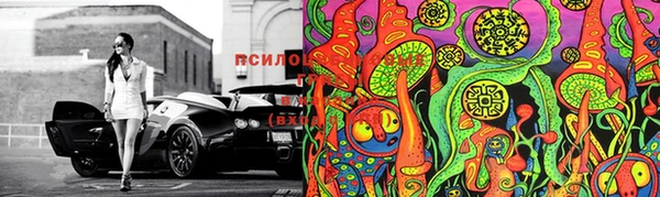 PSILOCYBIN Алексеевка