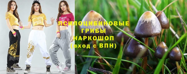 PSILOCYBIN Алексеевка