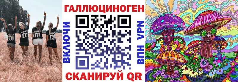 Галлюциногенные грибы Psilocybe  наркота  Галич 